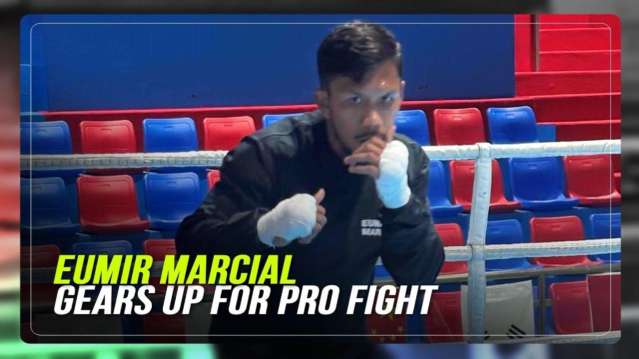 Tailored Training Regimens and Tactical Advice to Outsmart Elite Opponents