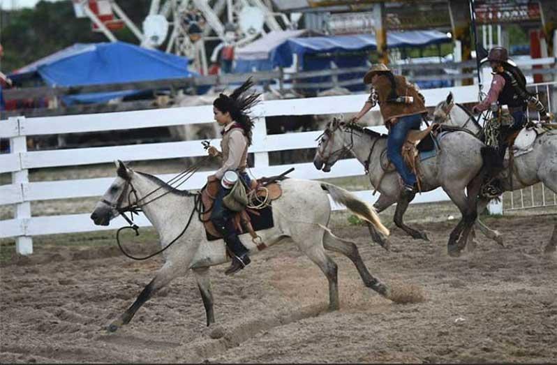 Recommendations for Stakeholders to Foster Growth and Resilience in Rodeo Communities